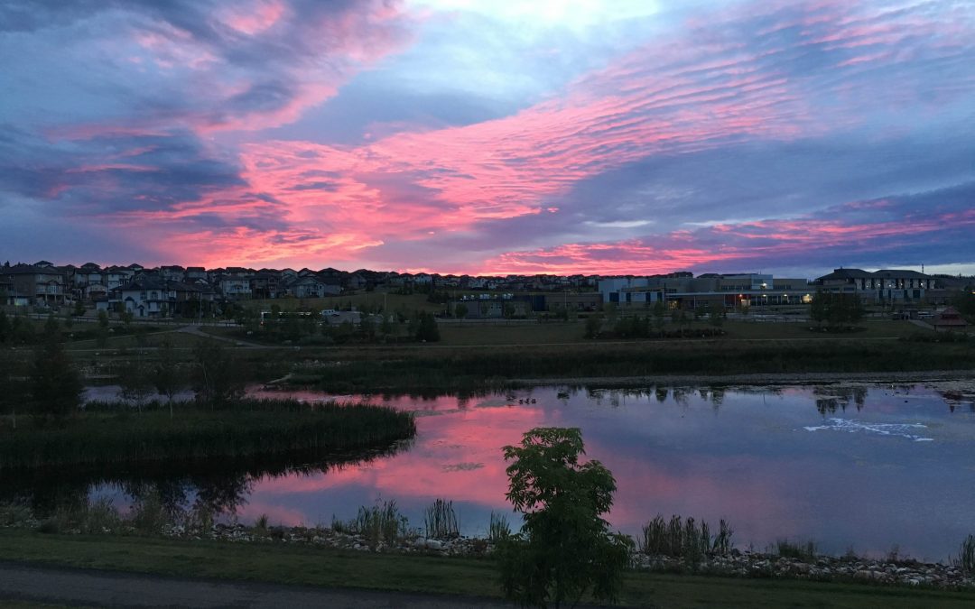 Why Eagle Ridge is the Best Community for My Family (and Possibly Yours)